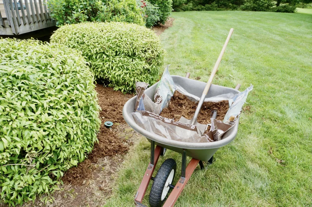 Luna Landscaping offers services of Landscaping Design, Stone Installation, Spring Clean Up, Deck Repairs, Grass Plantation, Grass Cutting, Grass Fertilization, Lawn Removal, Seeding Planting, Weed Control, Bed Mulching, Leaf Removal, Pruning Plants, Shrub Trimming, Edging, Spring Clean Up, Leaf Removal, Weed Control in Wilmington, DE - Landscaping Design Wheelbarrow full of mulch in a yard.